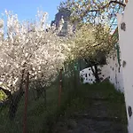 Ilusiones Tejeda (Gran Canaria)