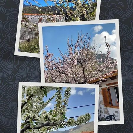 Ilusiones Tejeda (Gran Canaria)