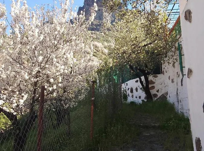 Ilusiones Tejeda (Gran Canaria)