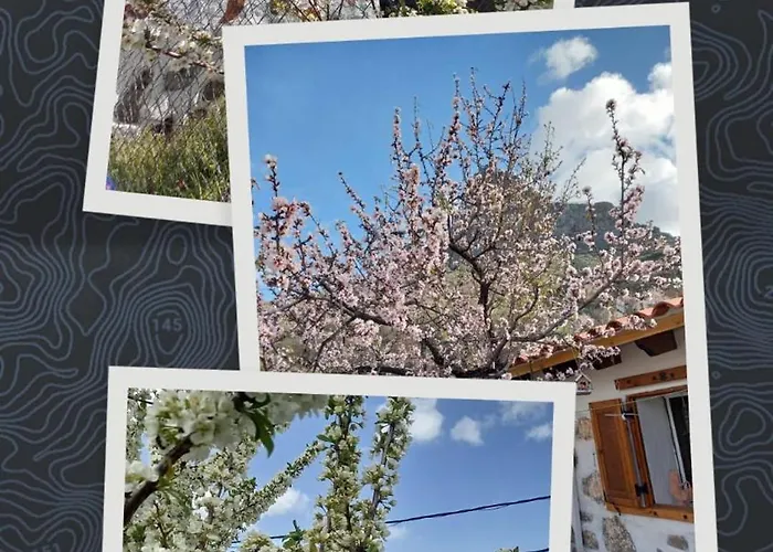 Ilusiones Tejeda (Gran Canaria)