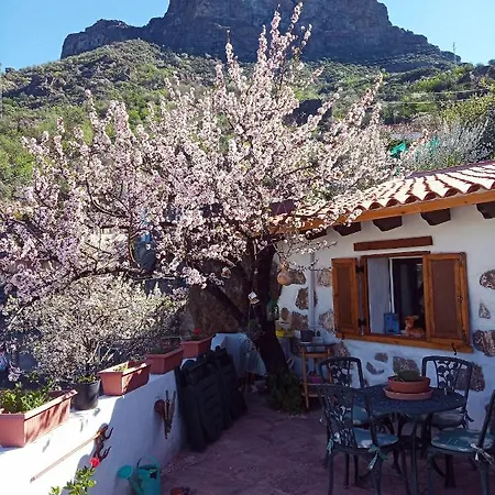 Ilusiones * Tejeda (Gran Canaria)