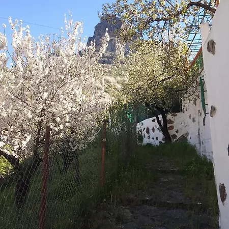 Ilusiones Tejeda (Gran Canaria)